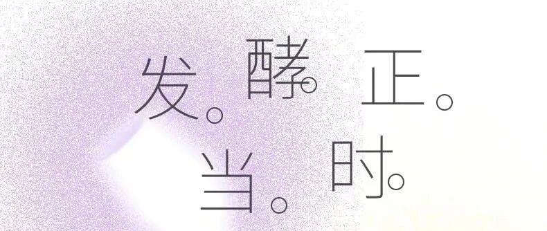 发酵正当时 - 我已微醺，你呢？